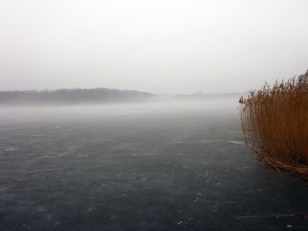 01_Schaalsee_Riek